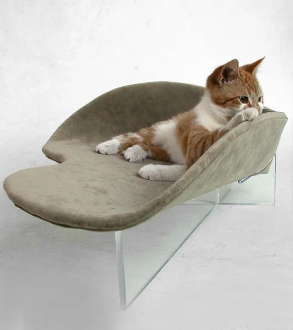 Acrylic cat bed