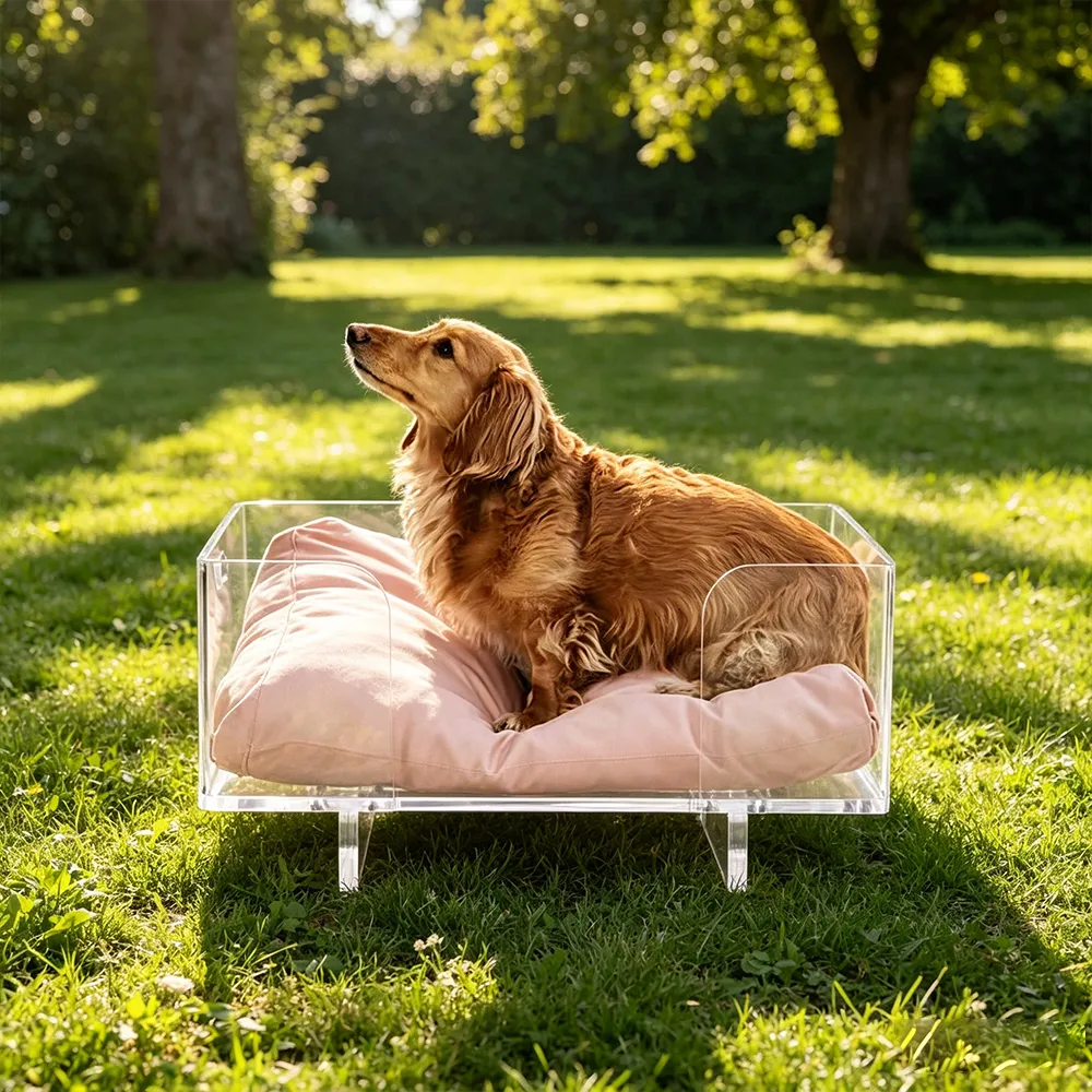 Clear Acrylic Square Pet Bed Luxury Cat & Dog Sofa Bed.