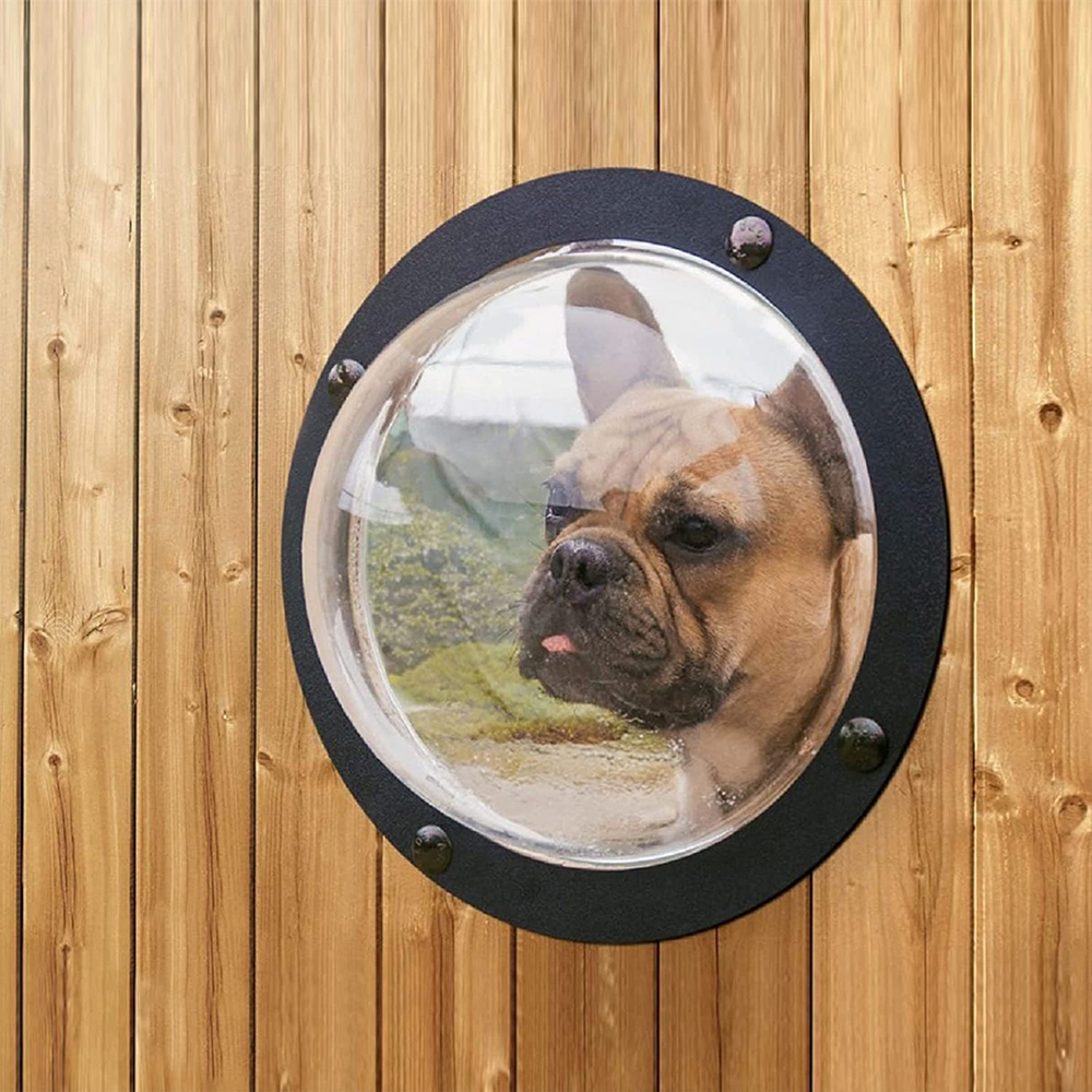 Wooden wall mounted transparent acrylic dog bubble window dome, french bulldog peeking out